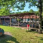 Mobil Camping